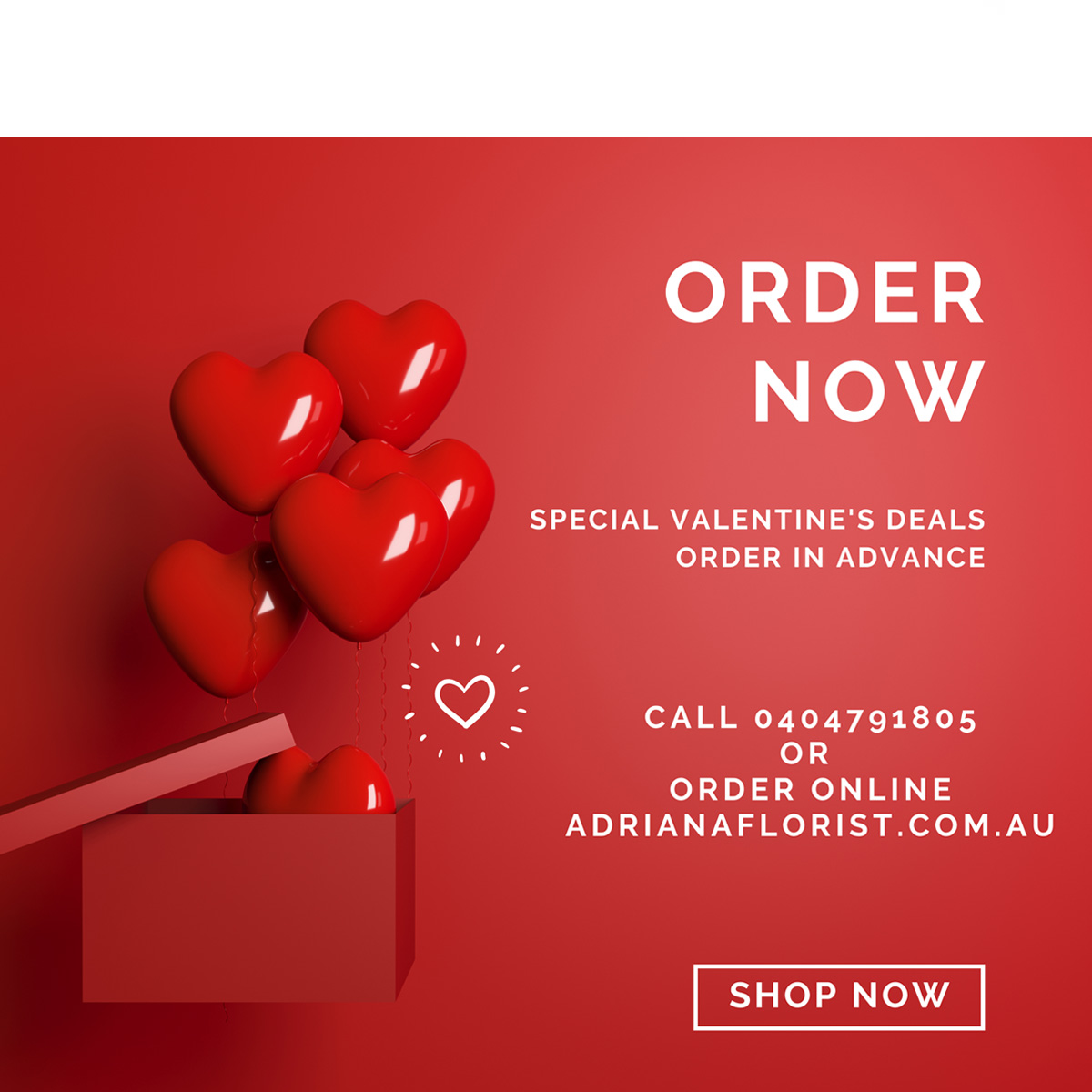 adriana-valentines-h4